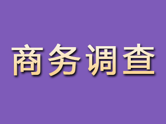 会理商务调查